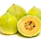 50 Seeds Crenshaw Cantaloupe Melon Can weigh up to 10 Pounds! Heirloom Sweet