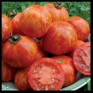 Red Zebra Tomato 25 Seeds Rare Heirloom Very productive!