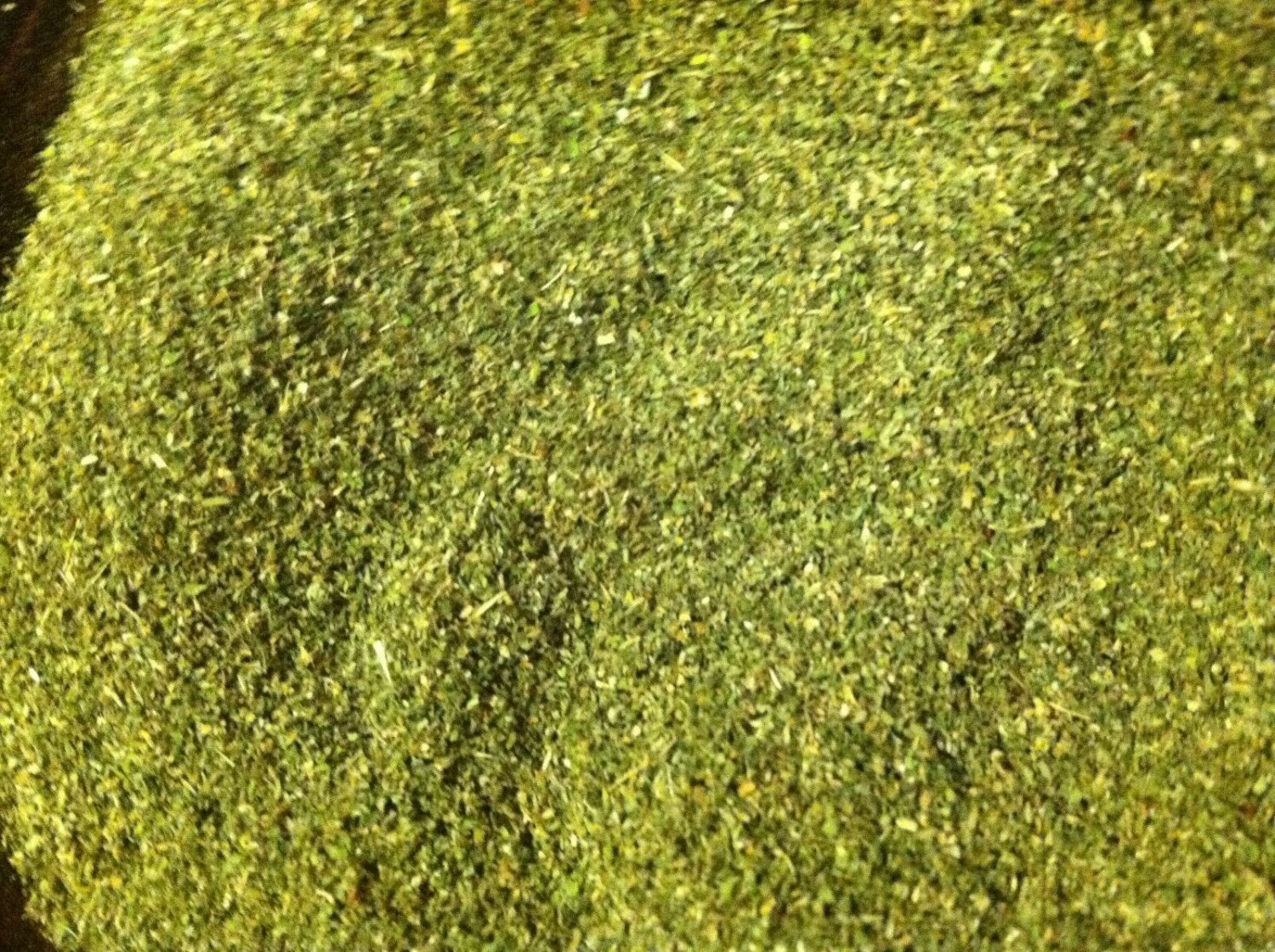 CATNIP BULK FREE SHIPPING, NEW "2020" CROP, DRIED/FRESH/GREEN 2 ONZ