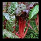25 seeds Ruby Red Swiss Chard Heirloom silverbeet Combined Shipping Farmers Mkt