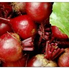 Dark Red Detroit Beet Seeds | NON-GMO | Fresh Garden Seeds