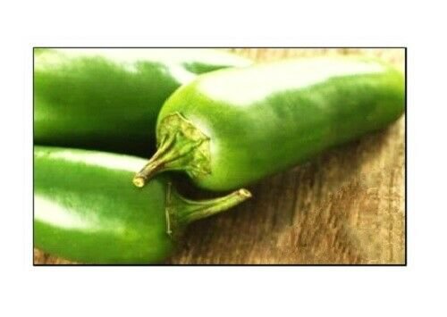 Jalapeno M Pepper Seeds | NON-GMO | Fresh Garden Seeds