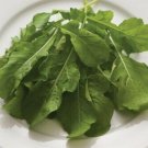 Arugula - Standard - 650+ Seeds - Organic Non GMO - Eruca sativa -Edible Flowers