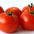25+ Cocktail Size Sweet Campari Tomato Seeds-R 039