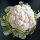 Snowball Y Improved Cauliflower 100+ Seeds Non-GMO USA + FREE Gift & COMB S/H