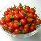 Heirloom Red Large Cherry Tomato 250+ Seeds Non-GMO USA + FREE Gift & COMB S/H