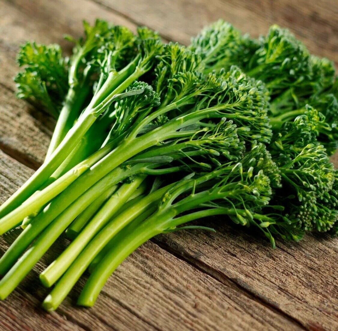 Organic Baby Broccoli Seeds 50+ Seeds