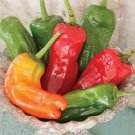 Cubanelle Sweet Pepper 50 Seeds, NON-GMO, Variety Sizes, FREE SHIPPING
