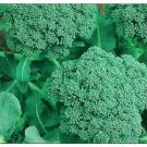 Broccoli Seeds | 200+ | NON-GMO | Fresh Garden Seeds