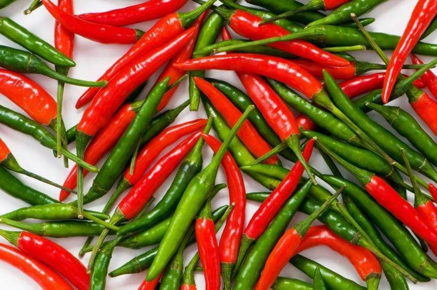 50+ Heirloom Super-Hot Thai Bird Premium Pepper Seeds-D 69