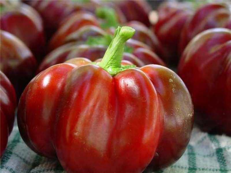 50+ Heirloom Super Red Pimento Premium Pepper Seeds-D 68