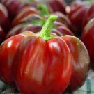 50+ Heirloom Super Red Pimento Premium Pepper Seeds-D 68