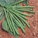 200 JADE BUSH BEAN SEEDS, Free Shipping,  Buy 2 And Get 1 Free