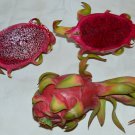 Hylocereus costaricensis , polyrhizus , Dragon Fruit , Pitajaya , 200 Seeds