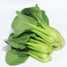 Bok Choy, Shanghai Greens, Brassica Rapa var. Chinensis, 100 Seeds Per Pack flowering-plants