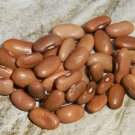 Pole Bean, Kentucky Wonder, Phaseolus vulgaris, 40 seeds per pack