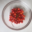 Bird's Eye Peppers, Pepper Seed Packs, 20 Seeds Per Pack