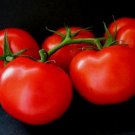 Tomato Seed, Ace 55, Non-Gmo Heirloom Tomato Seed, Low Acid Tomato, Tasty 50ct