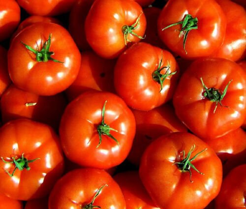 BasqueStore - TOMATO MARGLOBE SUPREME Lycopersicon Esculentum - 50 Bulk ct for germination