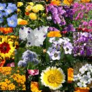 BasqueStore - WILDFLOWER MIX BULB BLANKET - 1 Oz Bulk ct for germination