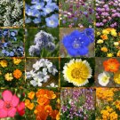 WILDFLOWER MIX SHORT CREEK - 1 Oz Bulk ct for germination