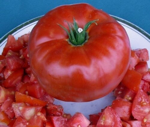 BG Store | Tomato 30 Seeds - Abe Lincoln, (Uniform, Deep Red, Smooth) Ready To Ship