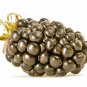 Blackberry - 'Big Daddy' thornless - Rubus fruticosa