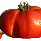 Delicious Tomato *Heirloom* 300+ Seeds 7Lb Fruit Vegetable Garden