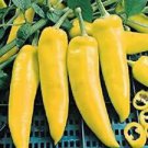 100+ *SWEET* Hungarian Yellow Wax Pepper Seeds