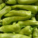 100+ SWEET BANANA PEPPER Seeds FRESH BANANA PEPPERS SEEDS