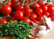 500+ Large Red Cherry Tomato Seeds
