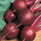 50+  Beet Ruby Queen Garden Vegetable Seeds Fresh Sweet Red Color