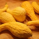 15+ YELLOW CROOKNECK SUMMER SQUASH SEEDS Vegetable Garden