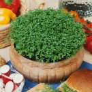 50+Fine Curled PEPPERCRESS PEPPER HERB Seeds