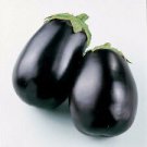 Eggplant Black Beauty 200+ Seeds