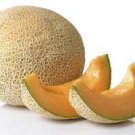 50+  HALES BEST CANTALOUPE JUMBO SEEDS Heirloom