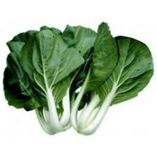 250+ Pak Choi White Stem Seeds
