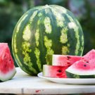100+ Watermelon Crimson Sweet  Heirloom Garden Seeds