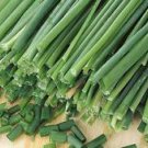 50+ Chives Garlic Herb Seeds