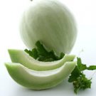 100 + HONEY DEW GREEN FLESH Melon Fruit Seed
