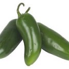 250+ -Hot JALAPENO Early PEPPER- Capsicum Vegetable Seeds
