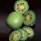 250 Hardy Mini Cocktail Kiwi, Actinidia arguta, Vine Seeds