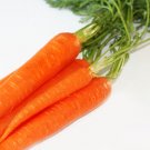 Carrot ct: Karina Carrot 250+ ct, Vegetables for Gardening