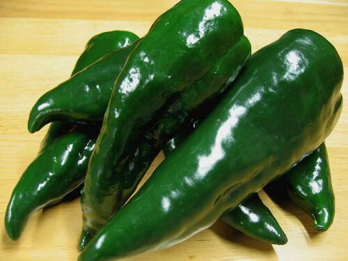 Poblano Pepper 100+ ct, Vegetables for Gardening