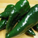 Poblano Pepper 100+ ct, Vegetables for Gardening