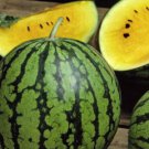 Baby Doll Watermelon 12+ ct, Vegetables for Gardening
