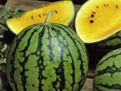 Baby Doll Watermelon 40+ ct, Vegetables for Gardening