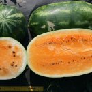 Tendersweet Orange Watermelon 40+ ct, Vegetables for Gardening