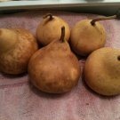 Small Apple Gourd 25+ ct, Vegetables for Gardening