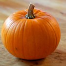 Jack O Lantern Pumpkins 40+ ct, Vegetables for Gardening